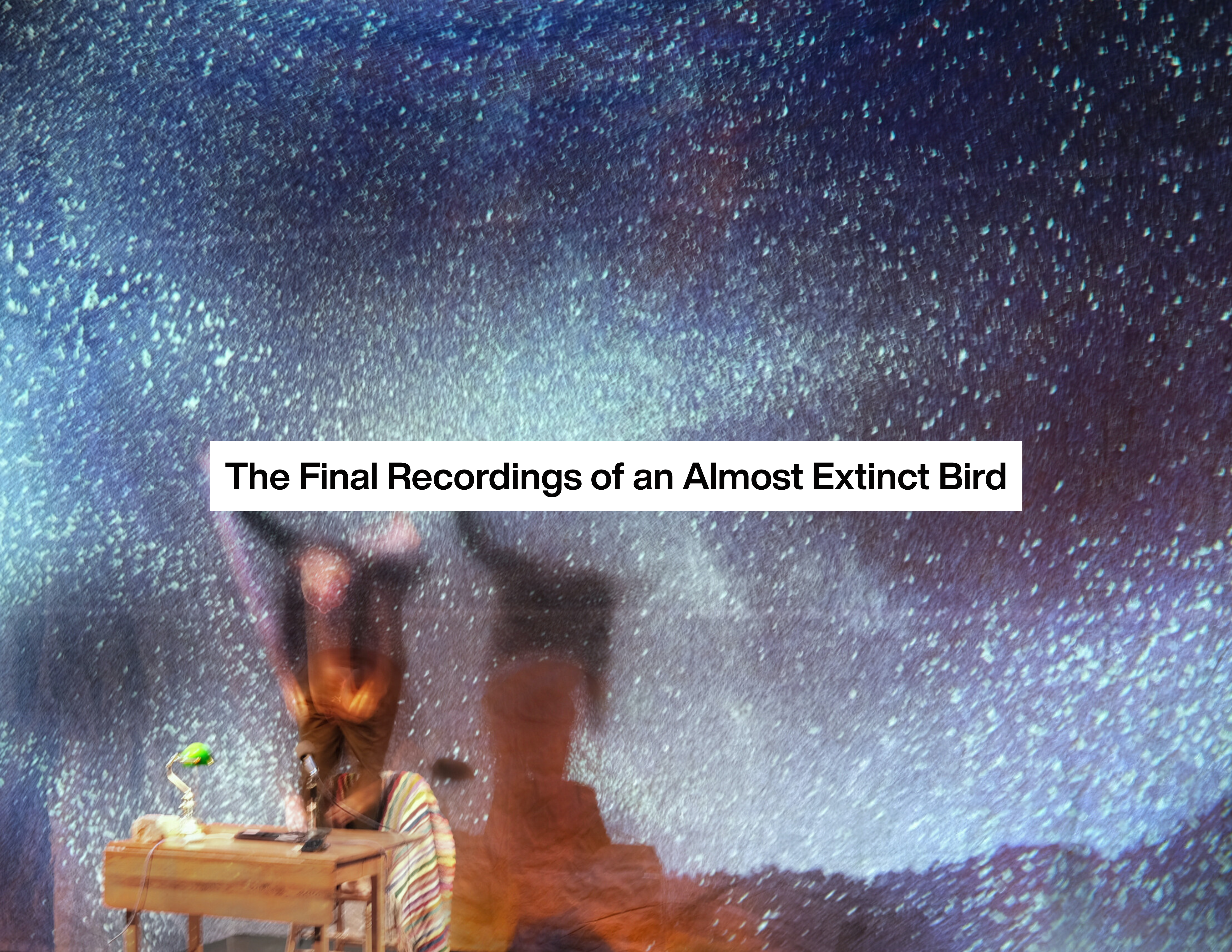 The background is the night sky/space, dotted with millions of points of light, in greens, blues, purples and white. On the left of the image, a wooden table with a green banker's lamp, computer, rock and laptop set atop it. A very blurry man in black jumps with his arms in the air. His shadow hits the screen behind him, creating the illusion of a double-self, jumping and floating in space. On a white rectangle, in black Helvetica typeface, the title: The Final Recordings of an Almost Extinct Bird"