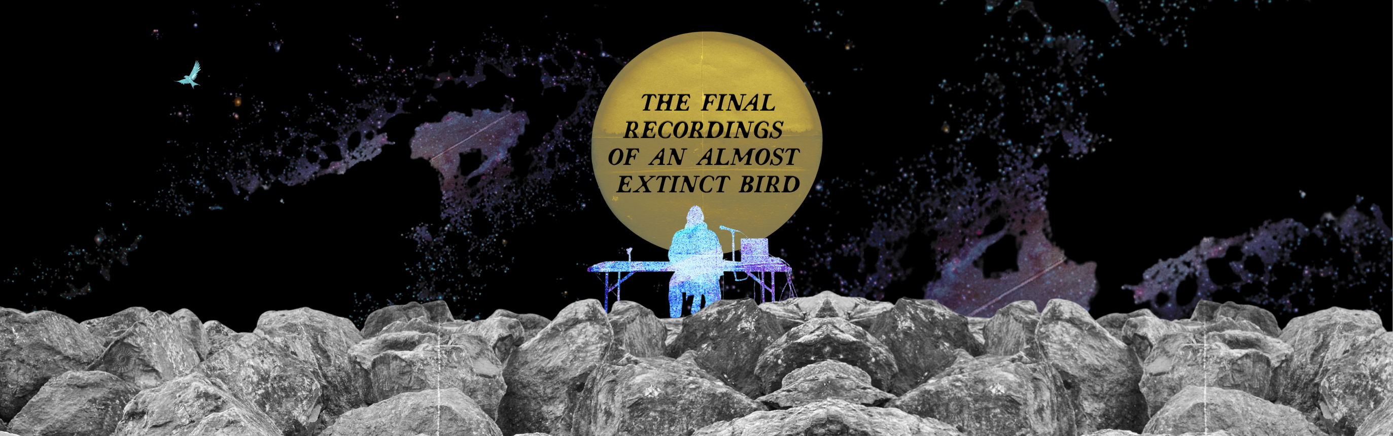 The foreground is a field of big grey bounders. The background is a vast vista of outer space - mostly black, with purple nebulae and glowing stars. In the Centre of the image is a large yellow circle - very planetlike. A fuzzy/grainy blue silhouette of a person sitting at a table with a microphone and computer sits perched upon the rocks. In the yellow circle, the words "The Final Recordings of an Almost Extinct Bird". 